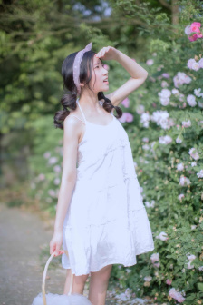 青青草在线视频在线